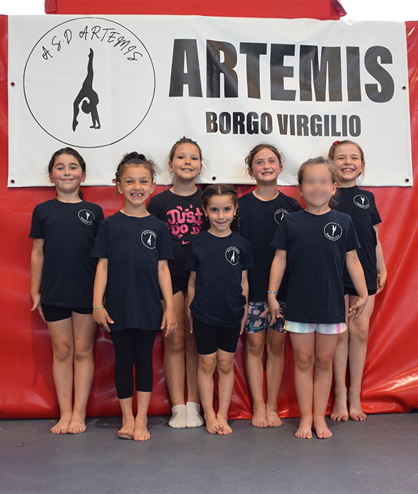 corso-avanzato-artemis-Mantova