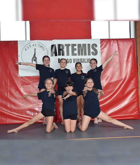 Ragazze del gruppo preagonistica di Artemis A.S.D.