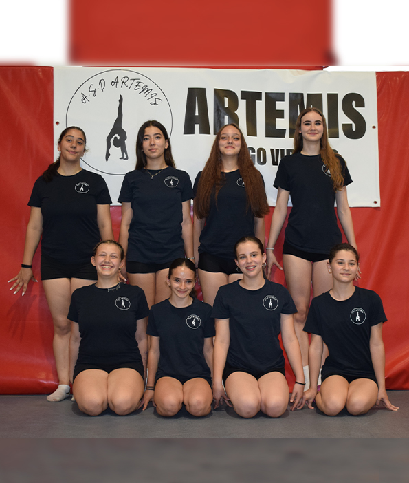 corso-promozionale-artemis-Mantova
